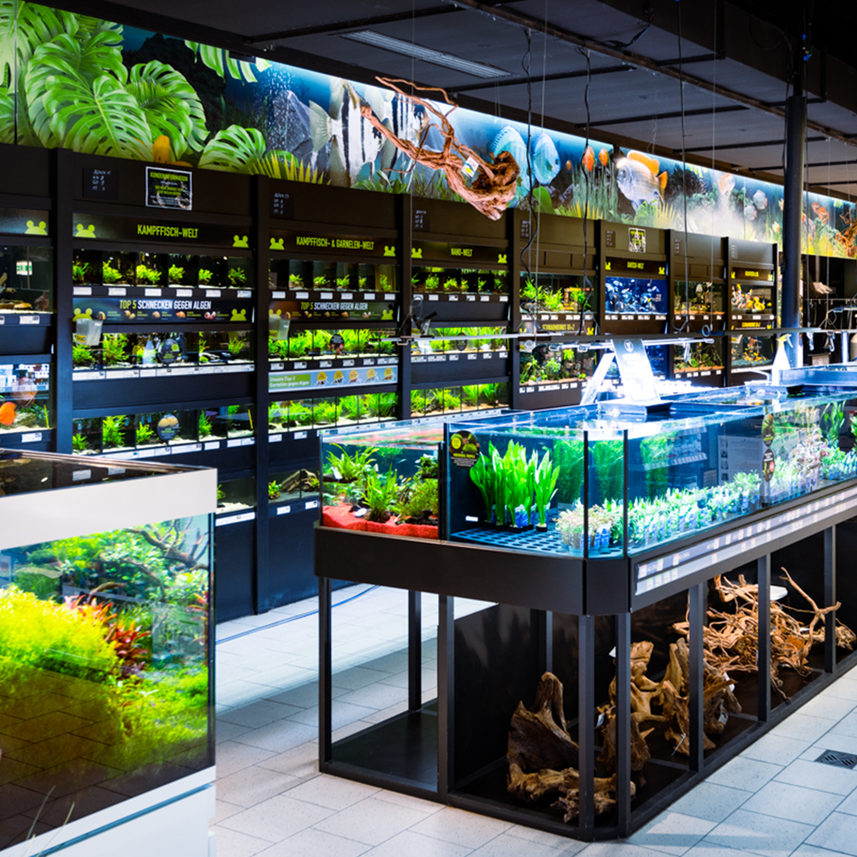 Nuernberg 1200x1200 02